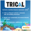 ACTILIFE Trical 15's (OA&J)