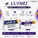 Lufart_Product_Bundle.webp