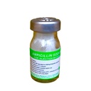 Ampicillin Sodium Inj 500mg 1's (Eskay)