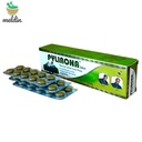 PYLIRONA HAEMORRHOIDS KIT