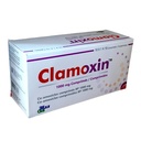 Clamoxin 1000Mg Tab (Amoksiklav)