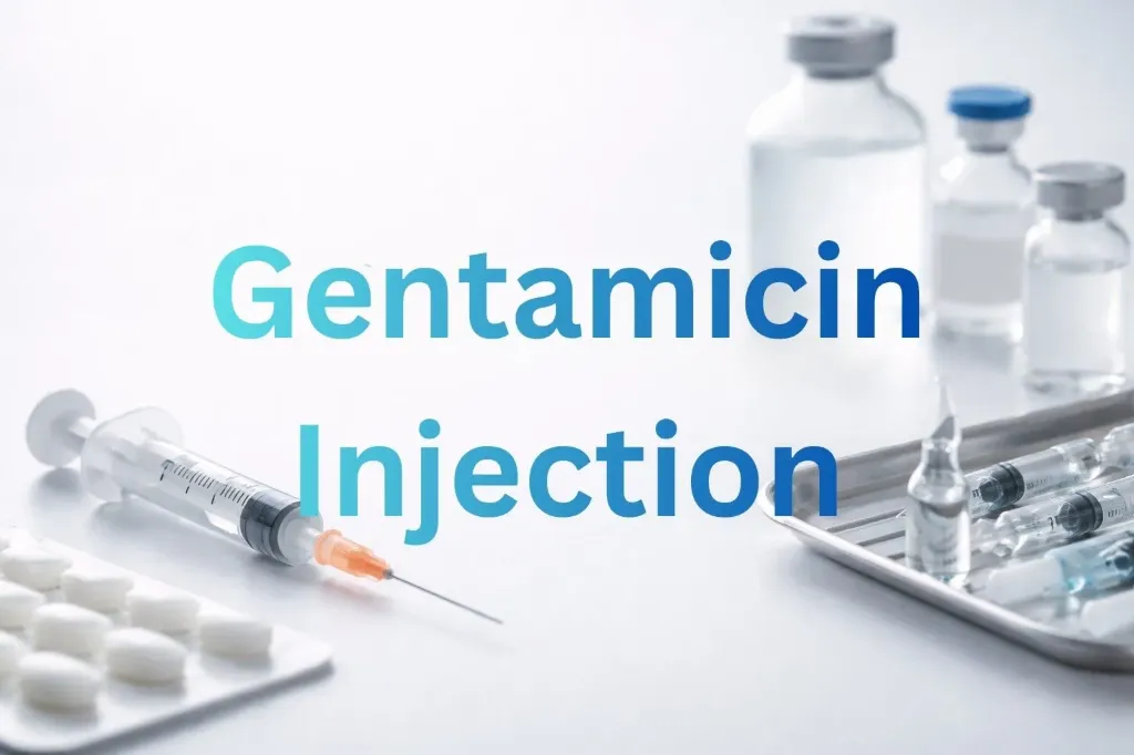 [ENT-] Gentamicin Inj 10's (Entrance)