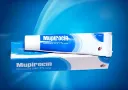 Mupirocin Ointment