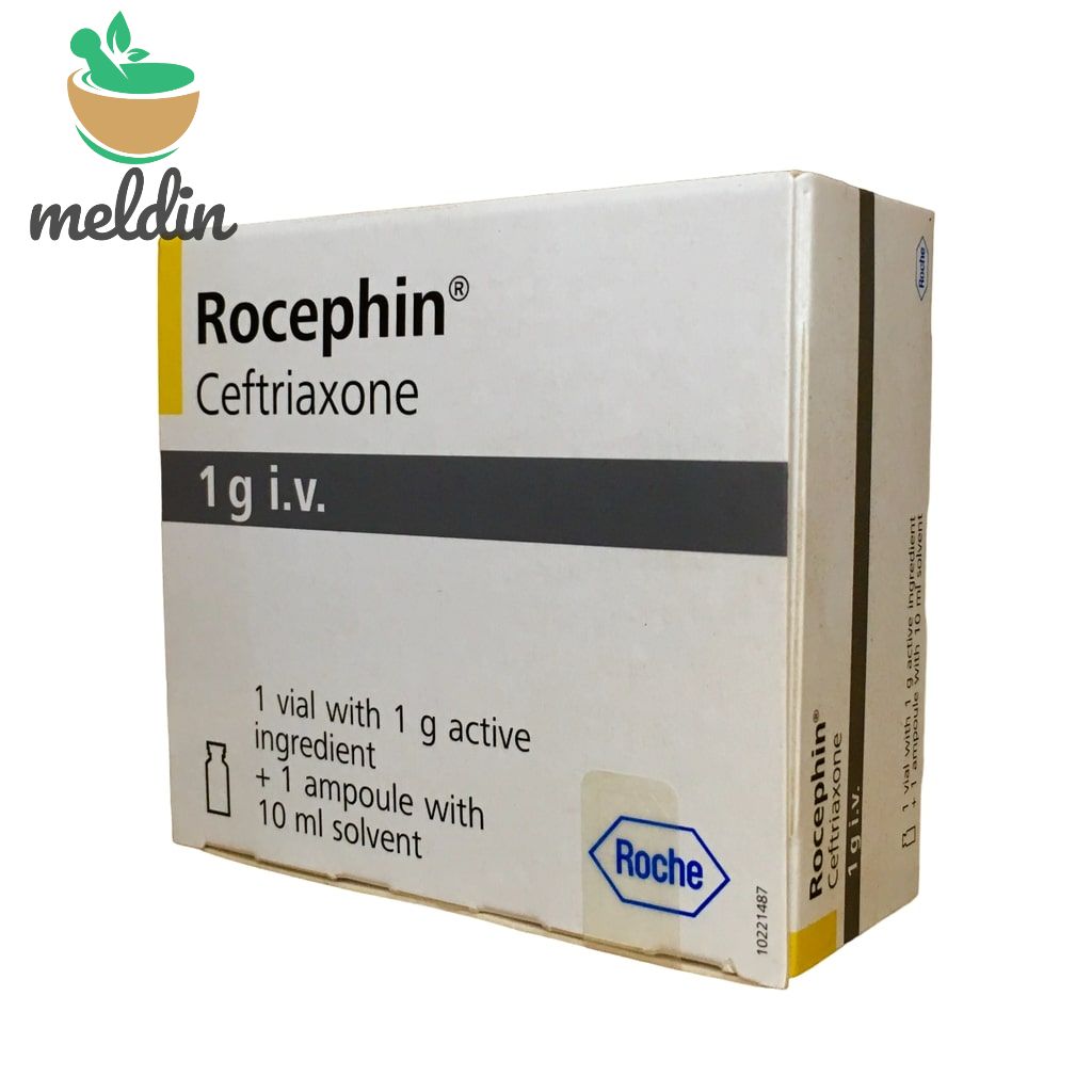 [ECL_RCH-08] Rocephine® Inj (1G)