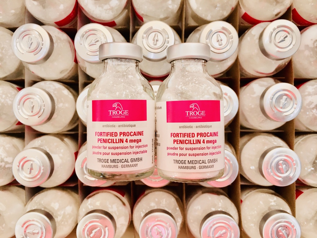 [ECL_TRG-12] PROCAINE PENICILLIN INJ (TROJE)
