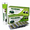 PYLIRONA HAEMORRHOIDS KIT